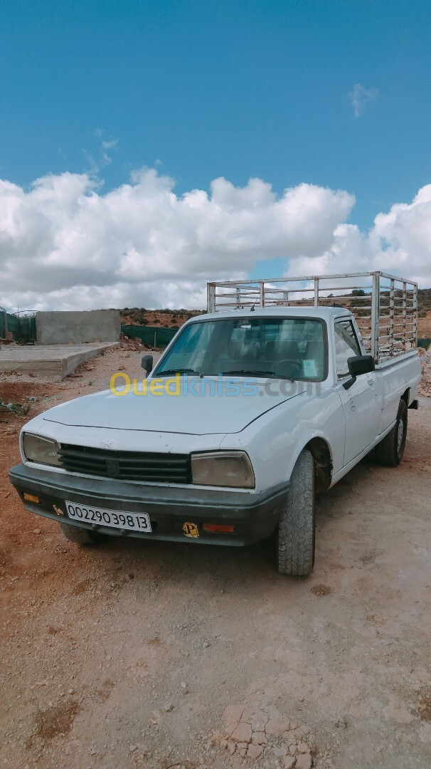 Peugeot 504 1998 bachi