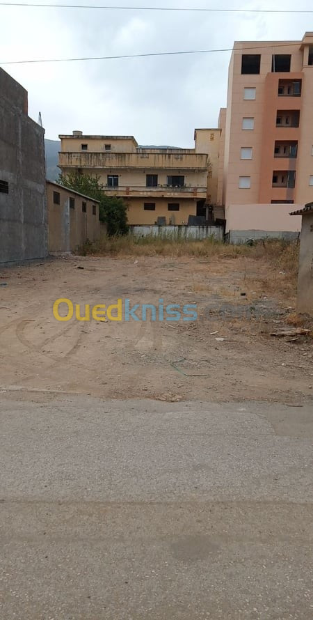 Vente Terrain Blida Guerrouaou