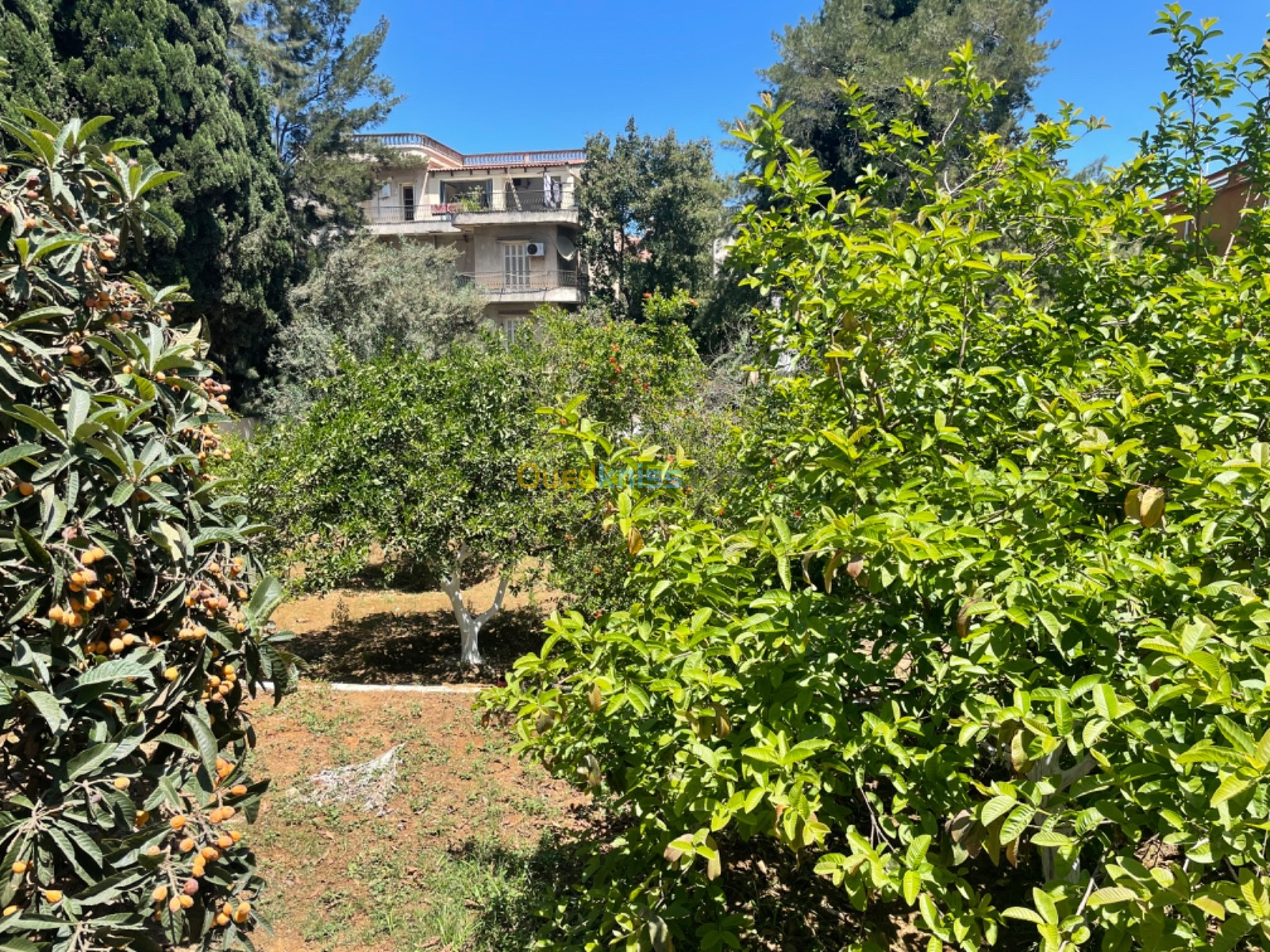 Sell Villa Algiers Birkhadem