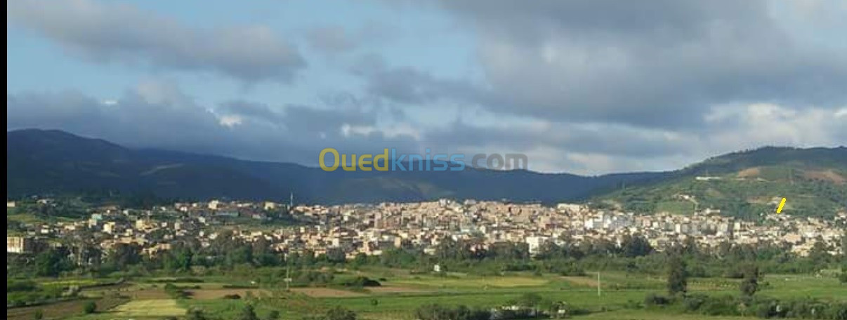 Vente Terrain Skikda Tamalous