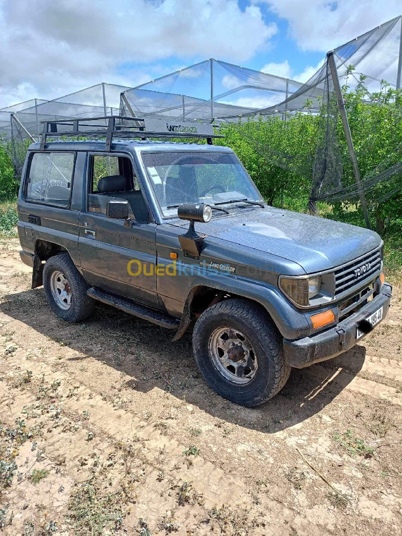 Toyota Land Cruiser 1995 Land Cruiser