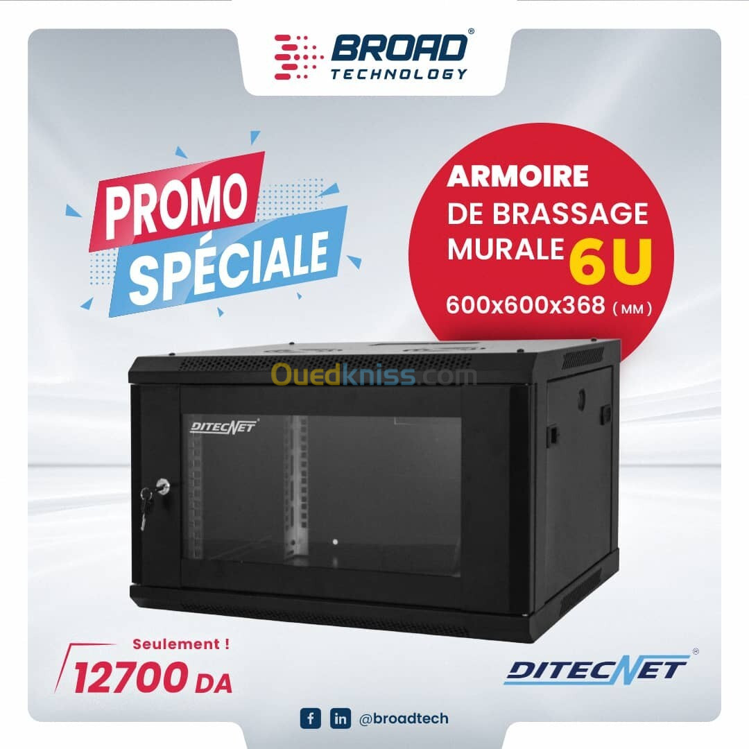 Armoire de brassage Murale 6U DITECNET