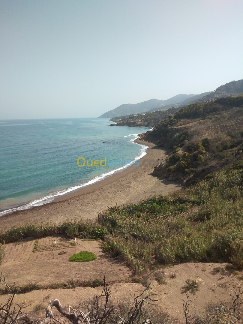 Vente Terrain Tipaza Larhat