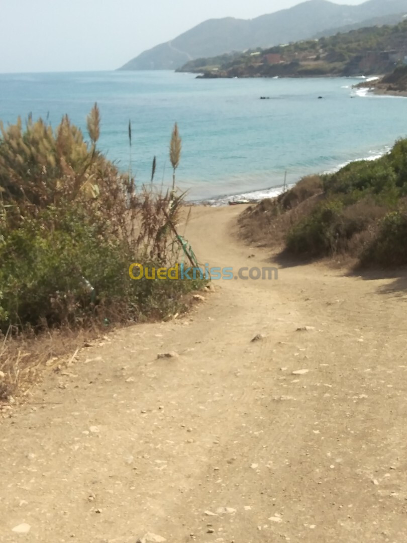 Vente Terrain Tipaza Larhat