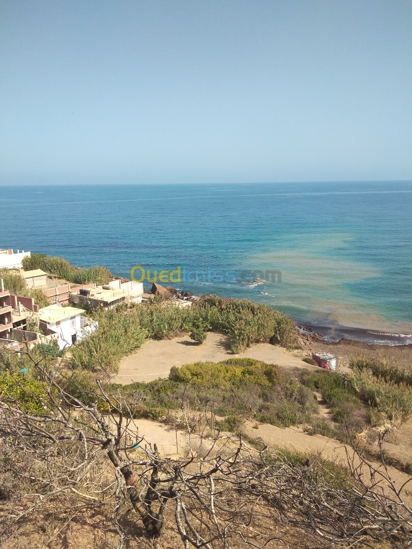 Vente Terrain Tipaza Larhat