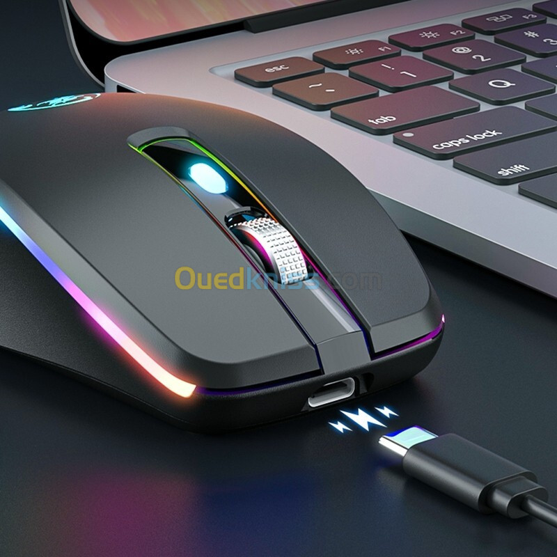 Souris Sans Fil Rechargeable USB Type-C RGB Silencieuse à 6 touches 2.4G