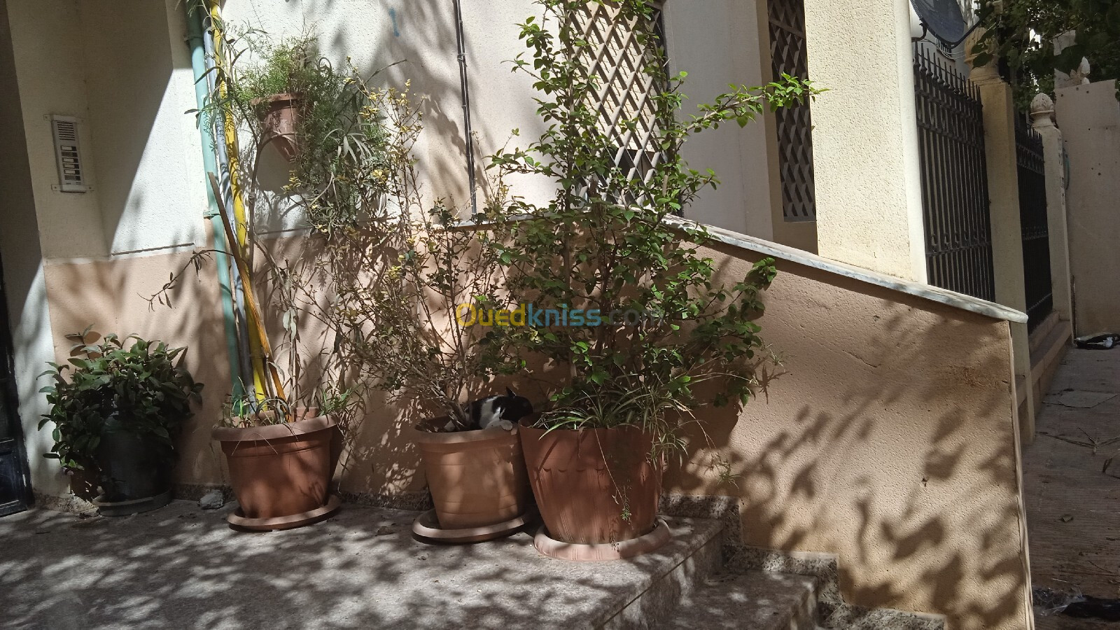 Vente Appartement F3 Alger Beni messous