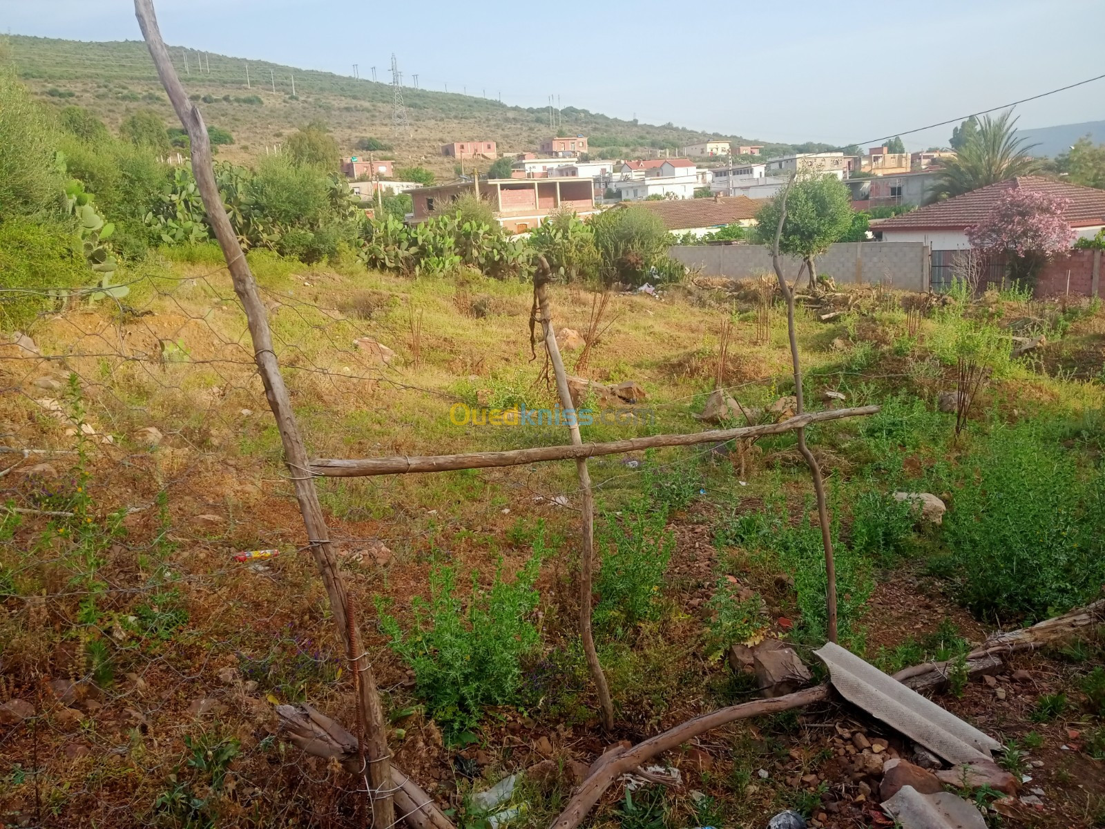 Vente Terrain El taref Ben mehdi