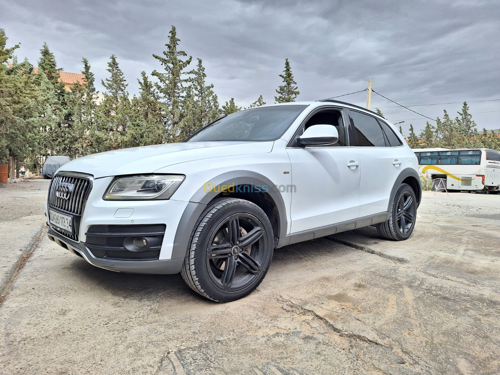 Audi Q5 2013 Offroad