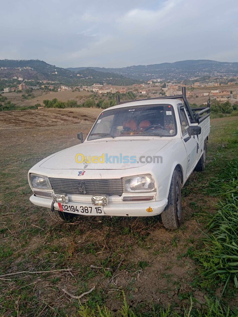 Peugeot 504 1987 Bâche