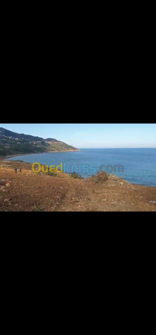 Vente Terrain Tizi Ouzou Azeffoun