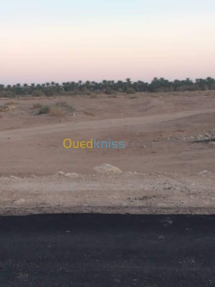 Vente Terrain Agricole Biskra Ourlala