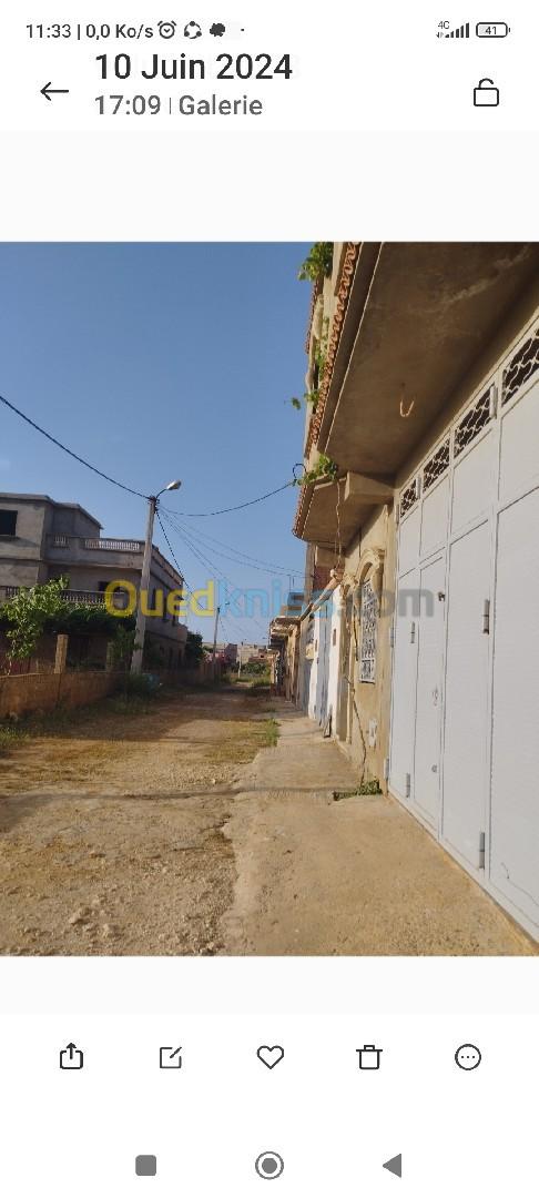 Vente Terrain Mostaganem Hadjadj