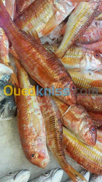 Export et Import des poissons