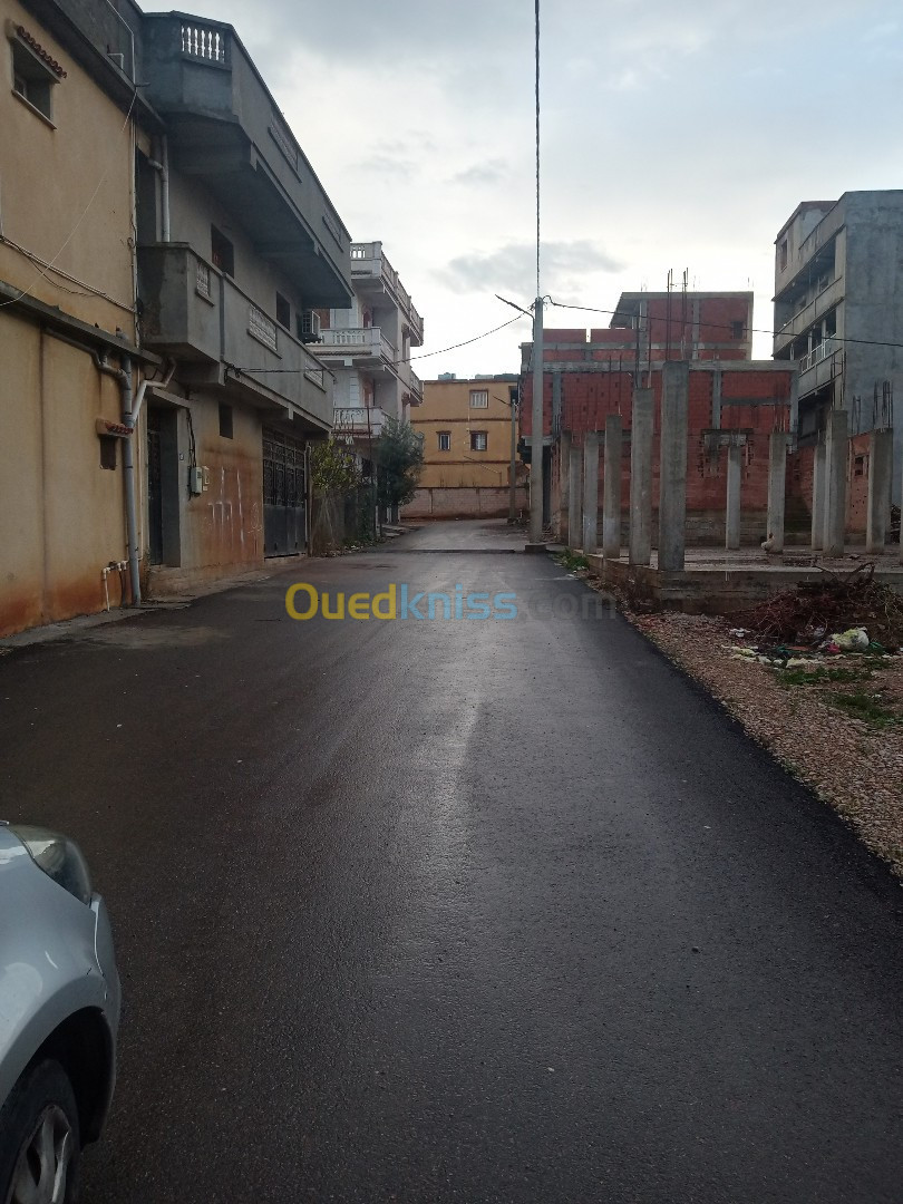 Vente Terrain Blida Bouinan