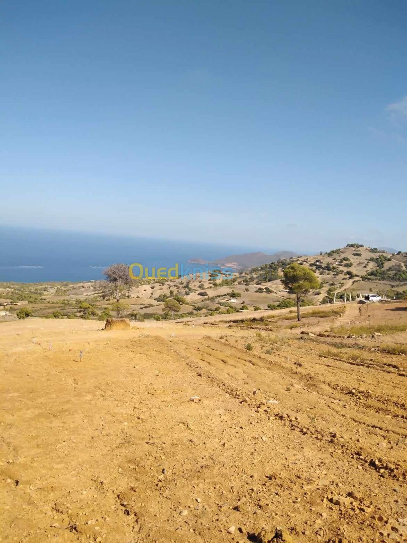 Vente Terrain Chlef Beni haoua