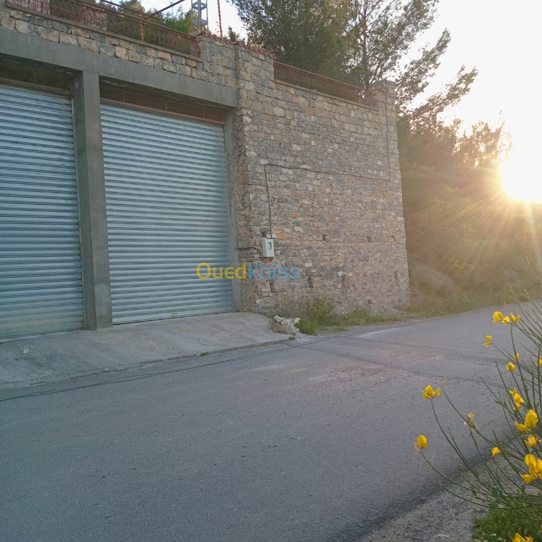 Vente Villa Sétif Guenzet