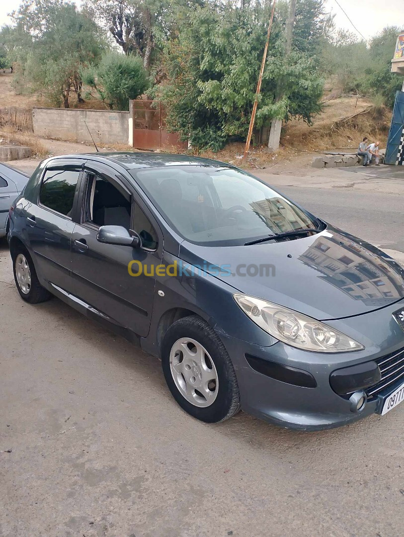 Peugeot 307 2006 307