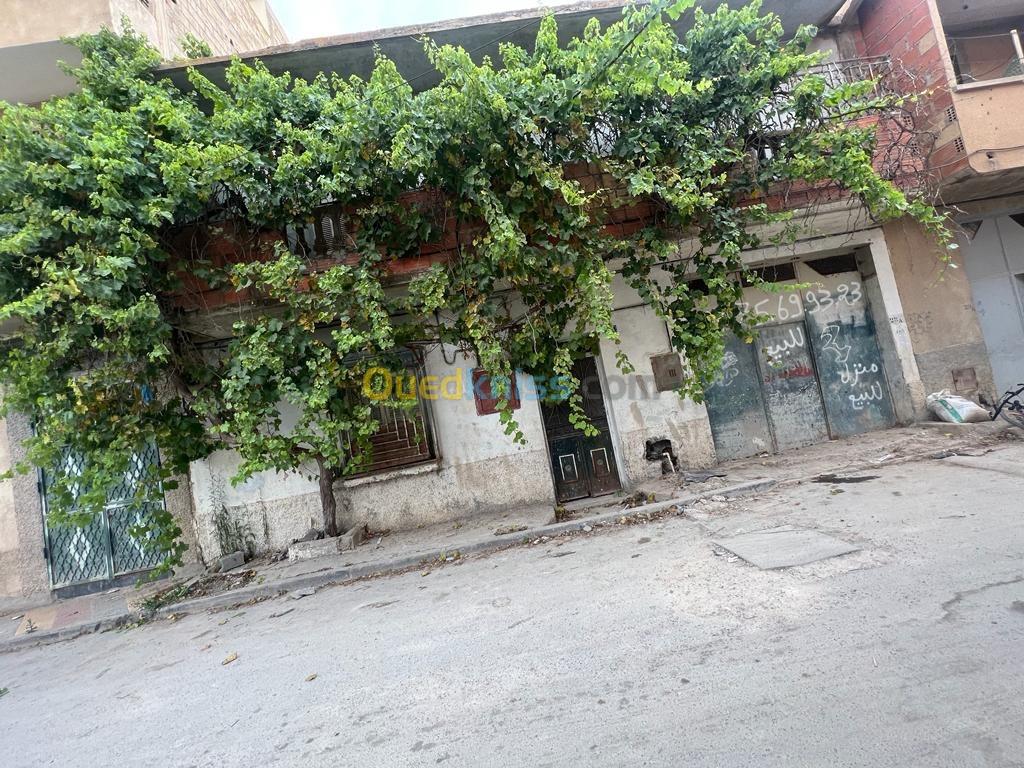 Sell Building Setif Guelal