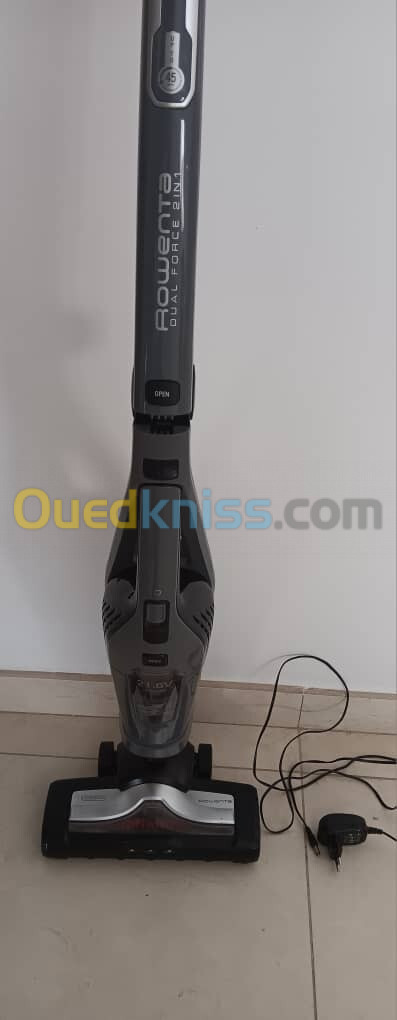 Rowenta dual force 2en 1