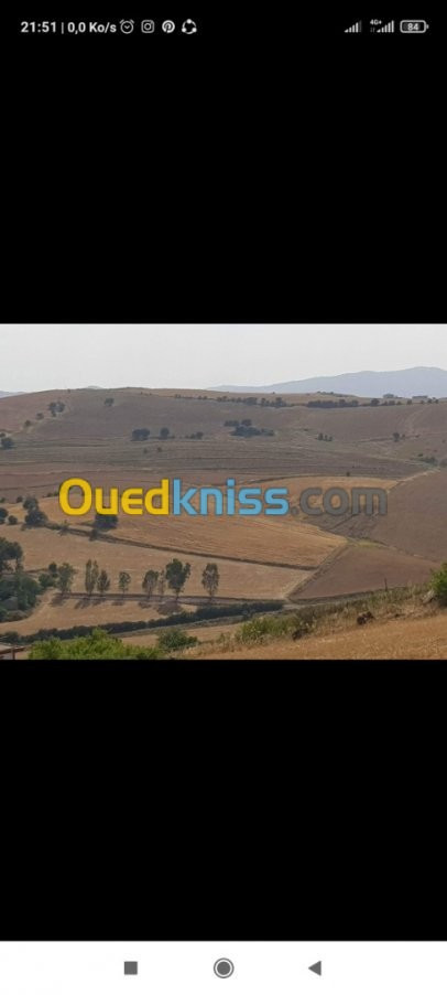 Vente Terrain Agricole Tizi ouzou Ain zaouia