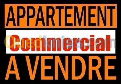 Vente Appartement F10 Alger Sidi mhamed