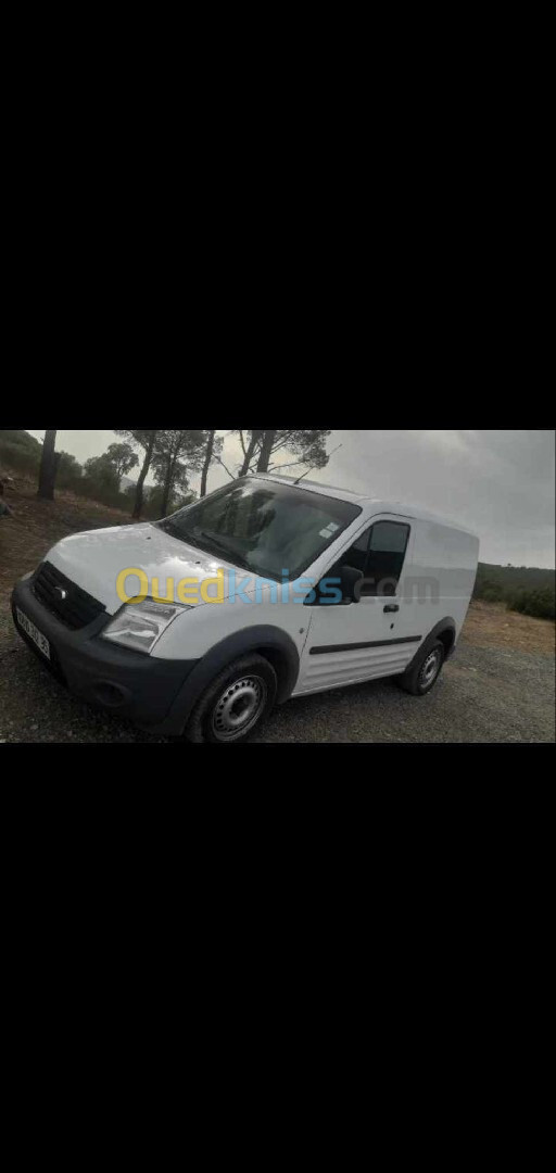 Ford Tourneo Connect 2012 