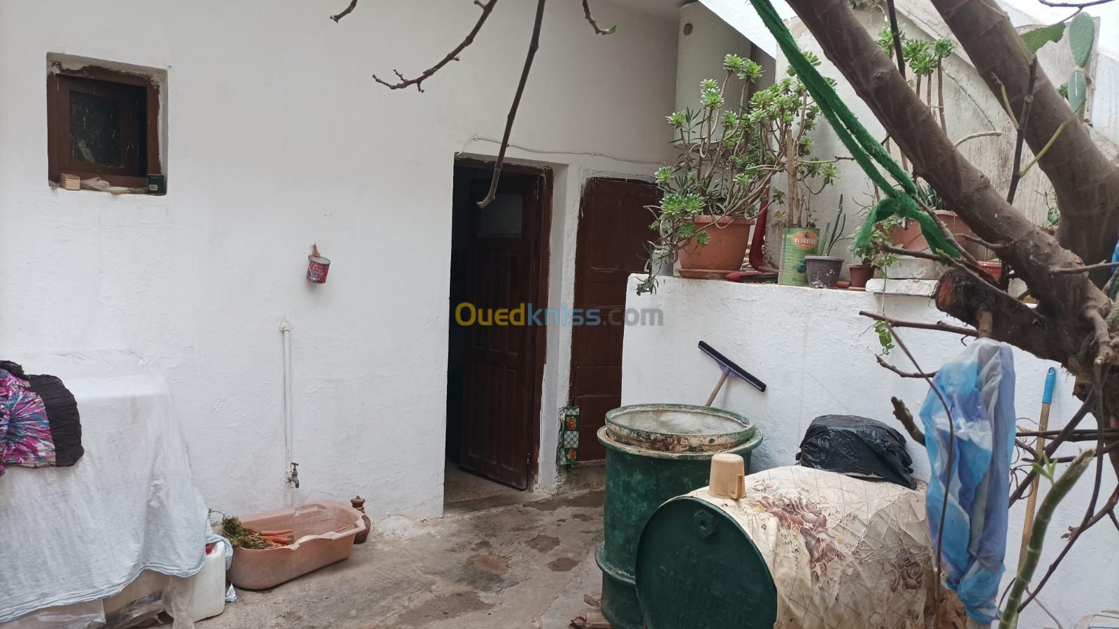 Vente Duplex F6 Djelfa Djelfa