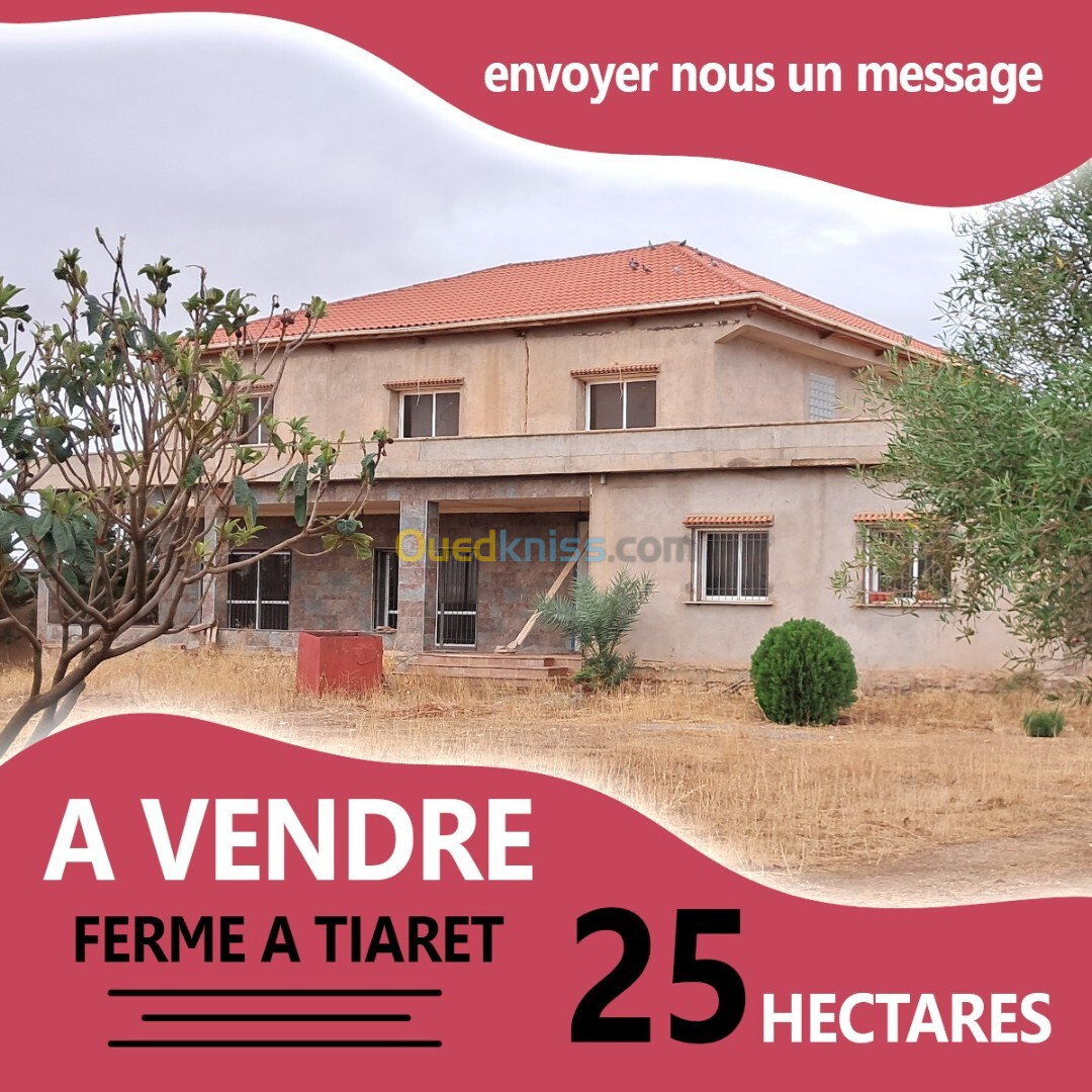 Vente Terrain Agricole Tiaret Tiaret