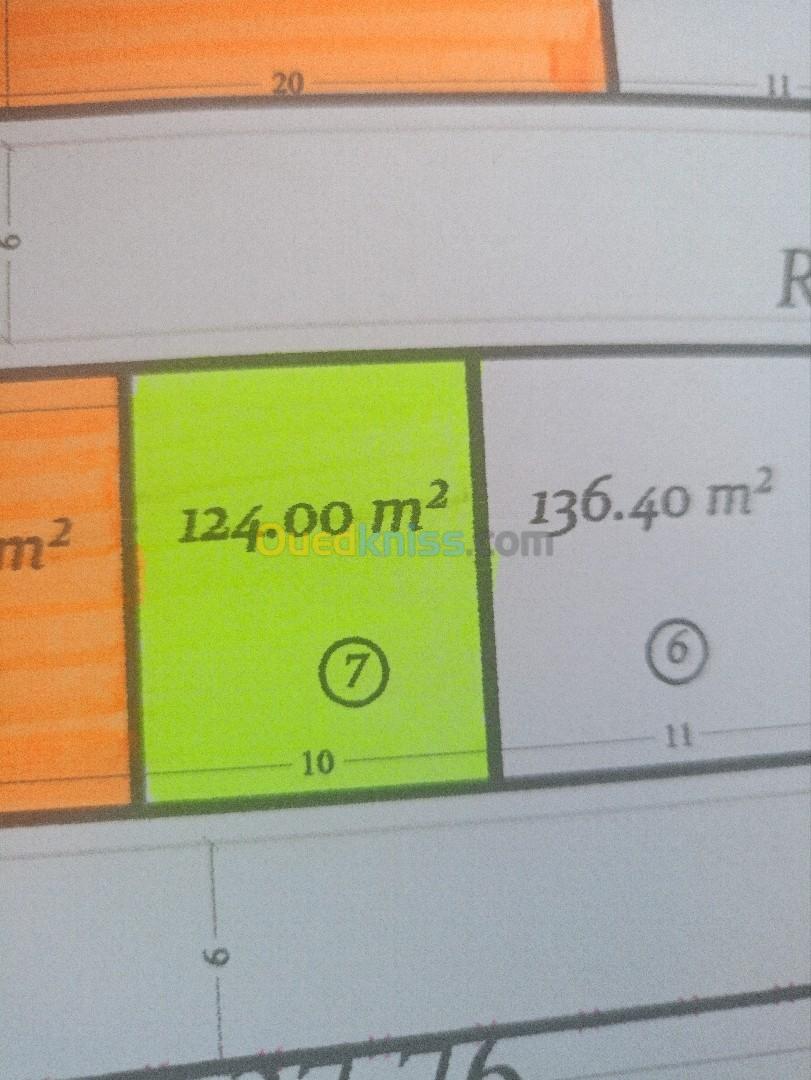 Vente Terrain Mostaganem Kheireddine