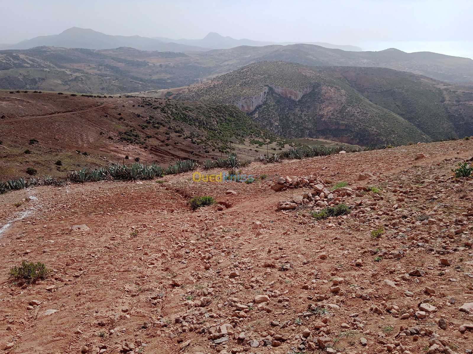 Vente Terrain Aïn Témouchent Oulhaca el gheraba