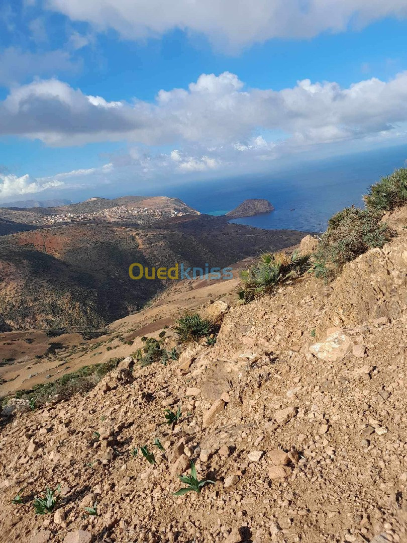 Vente Terrain Aïn Témouchent Oulhaca el gheraba