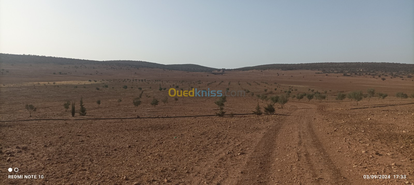 Vente Terrain Agricole Saïda Maamora