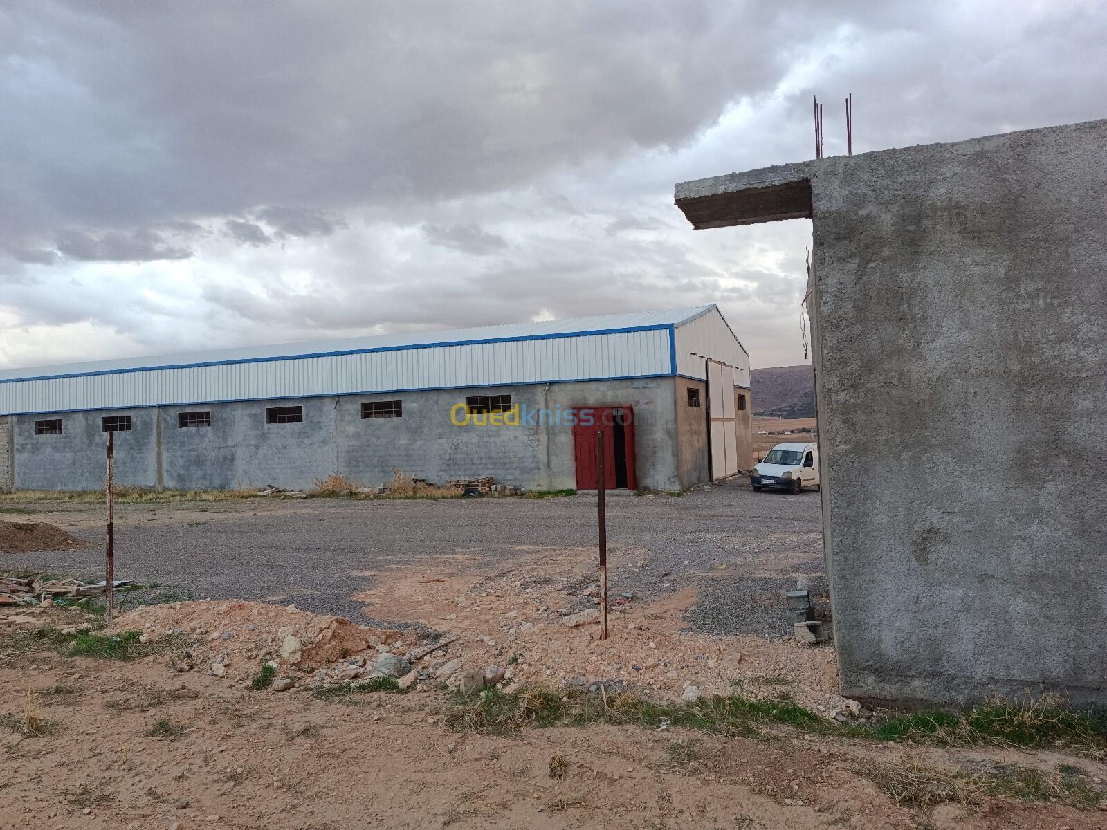 Location Hangar Sétif Guidjel