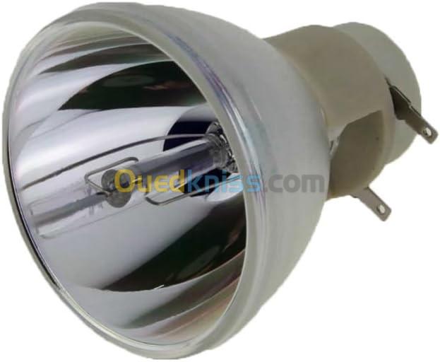 LAMPE PROJECTOR VIEWSONIC MODEL: RLC-109 CB /REF:2756