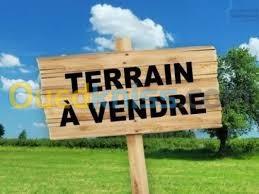 Vente Terrain Alger Rais hamidou