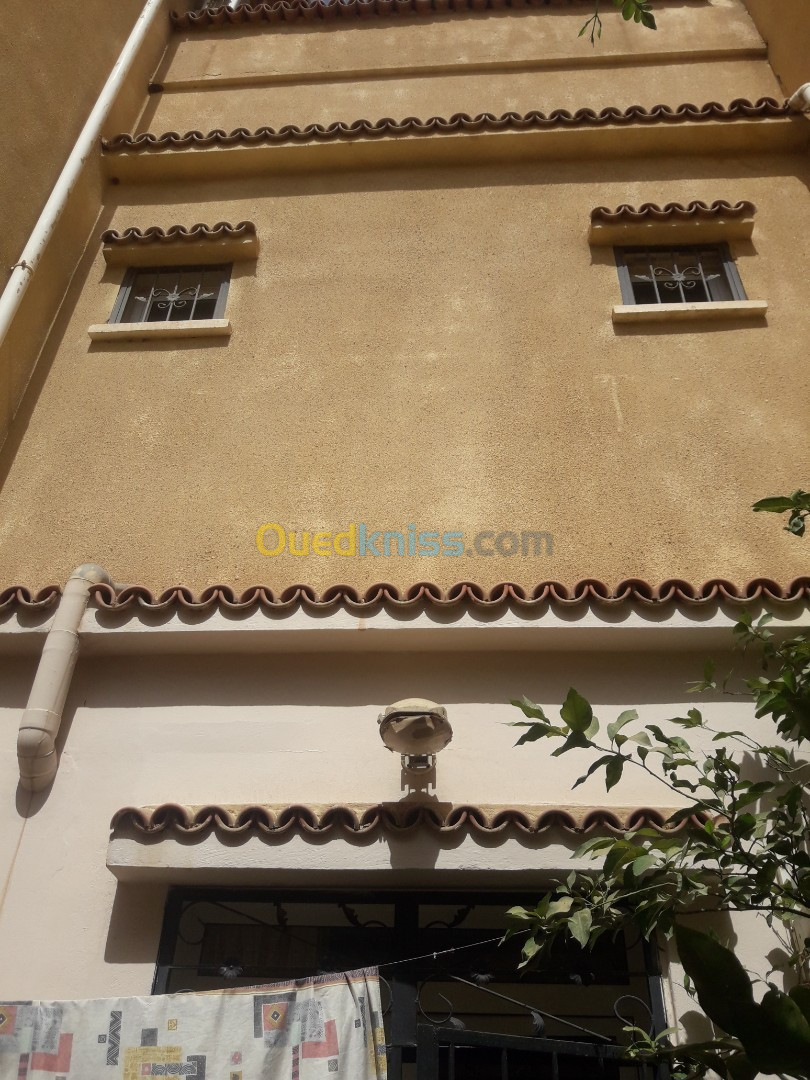 Vente Villa Blida Beni tamou