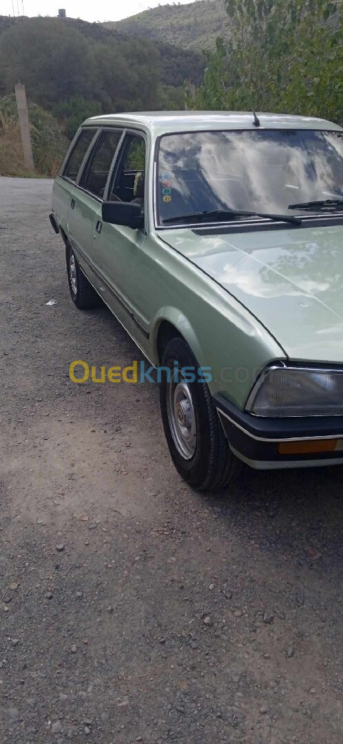 Peugeot 505 1982 505