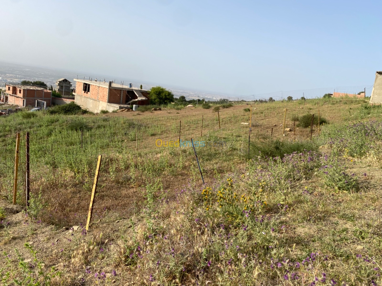 Vente Terrain Boumerdès Khemis el khechna