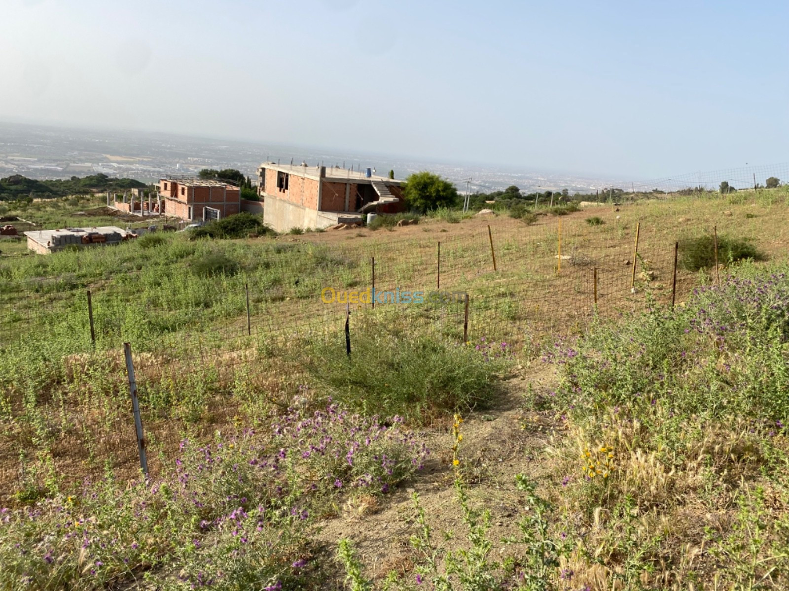 Vente Terrain Boumerdès Khemis el khechna