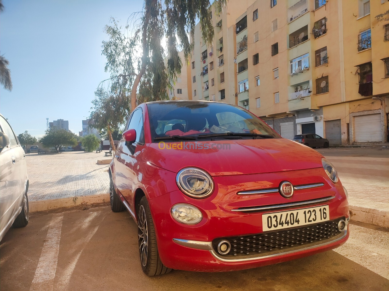 Fiat 500 hybride sous garantie 2023 Dolcevita