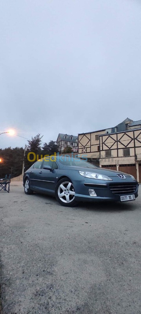 Peugeot 407 2005 407