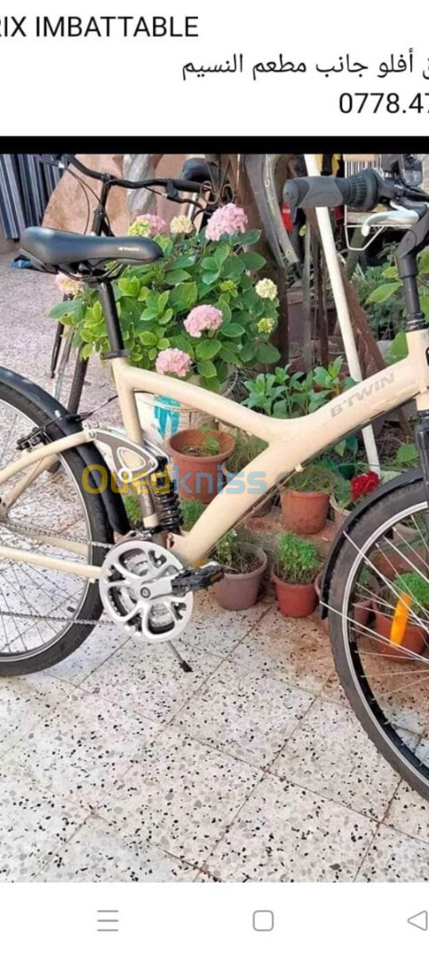 Vélo original en gros 