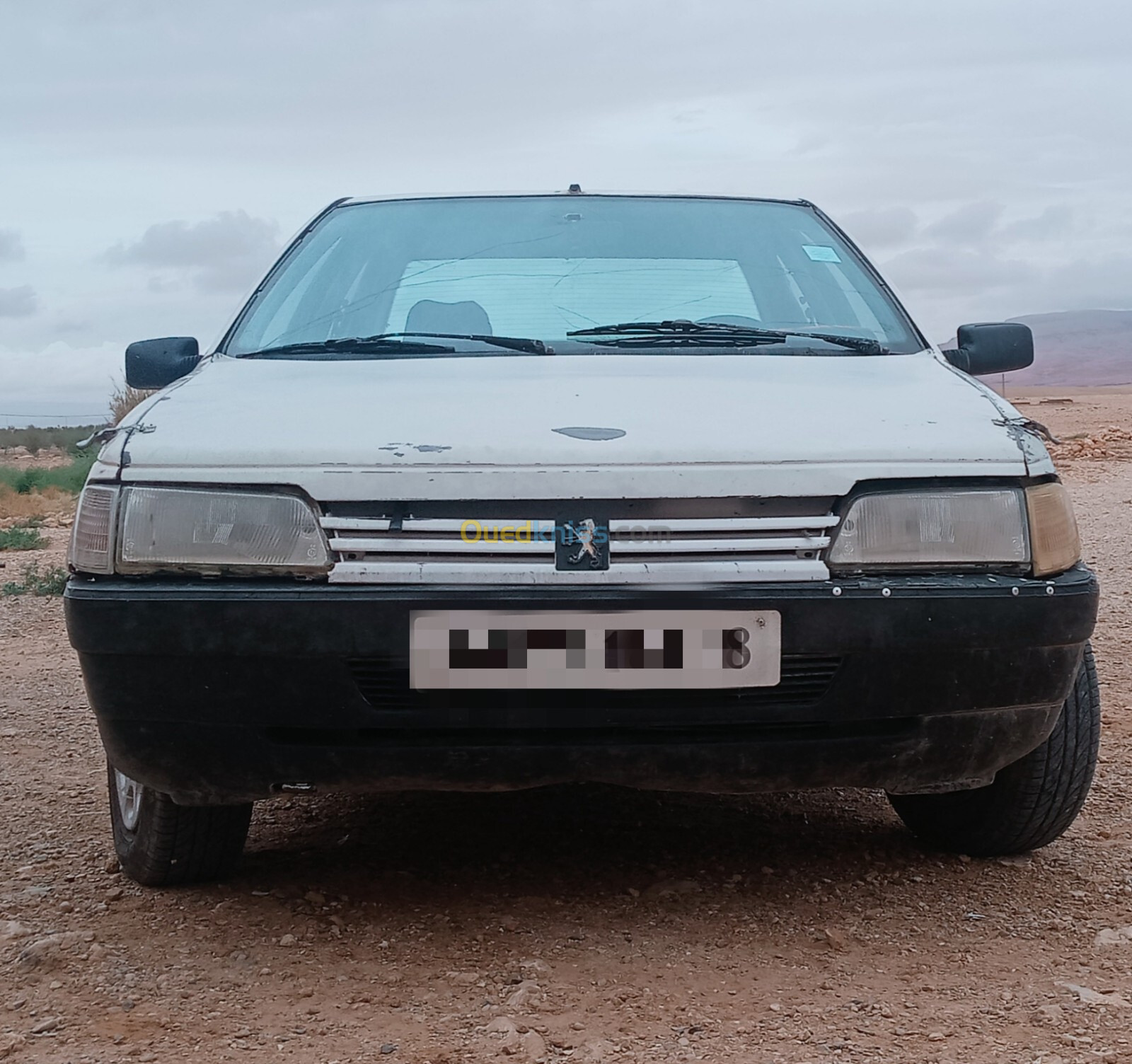 Peugeot 405 1989 