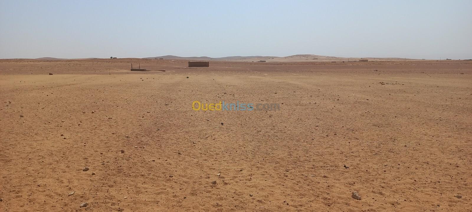 Vente Terrain Agricole Djelfa Djelfa