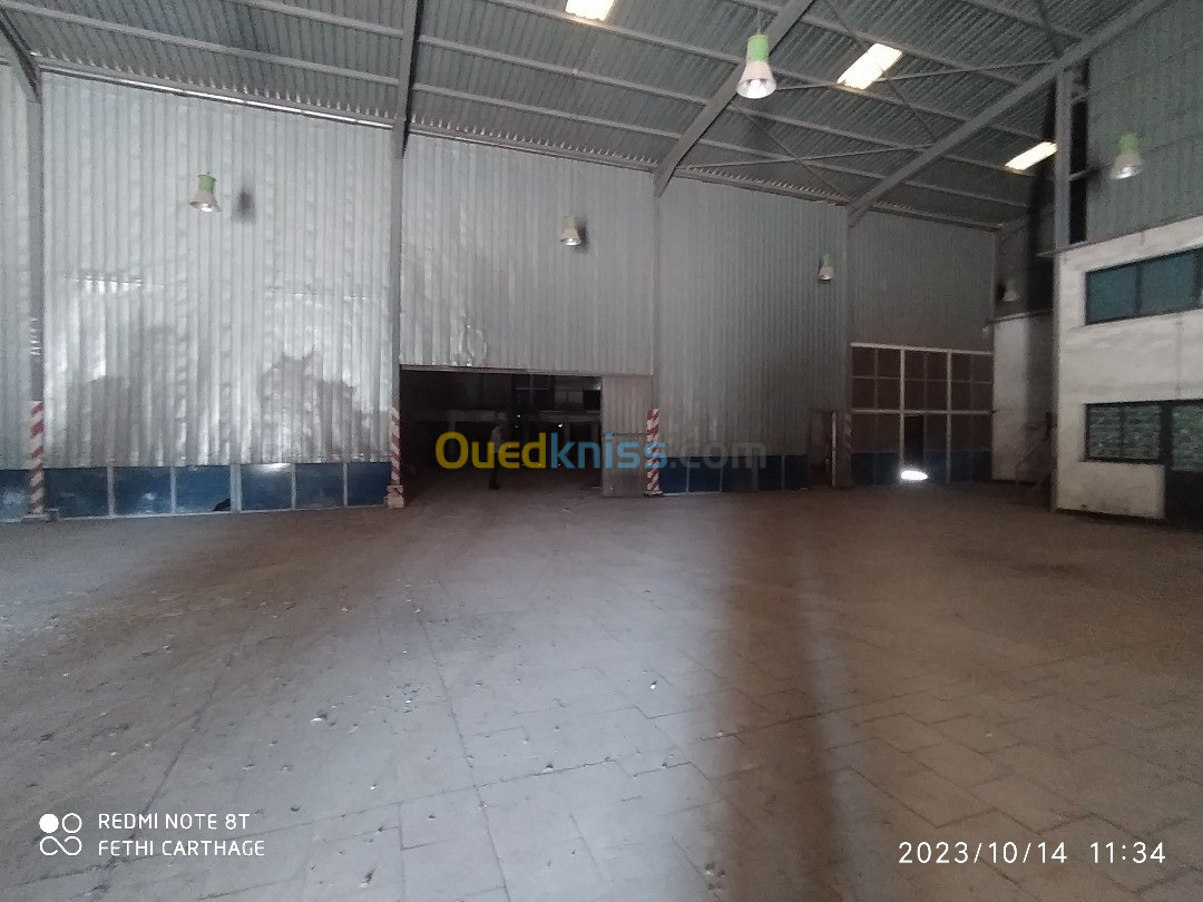 Location Hangar Annaba El bouni