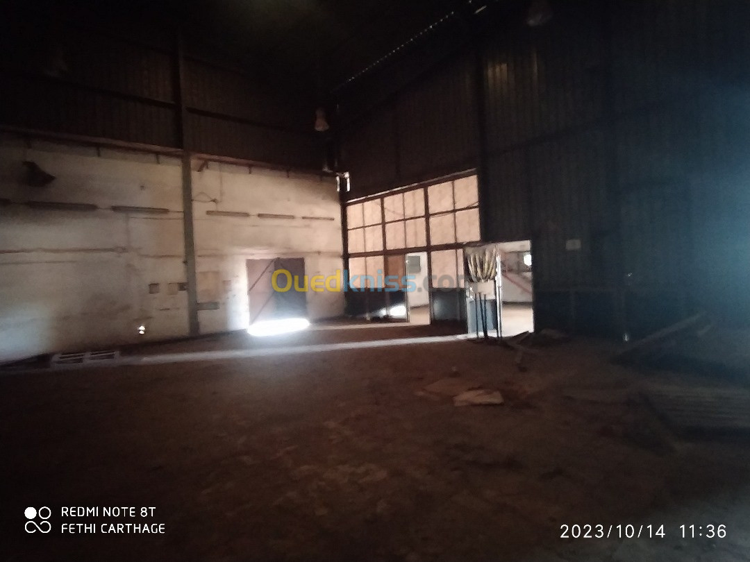 Location Hangar Annaba El bouni