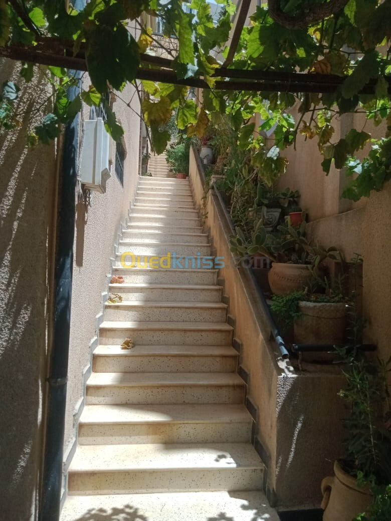 Location Appartement F4 Annaba Annaba