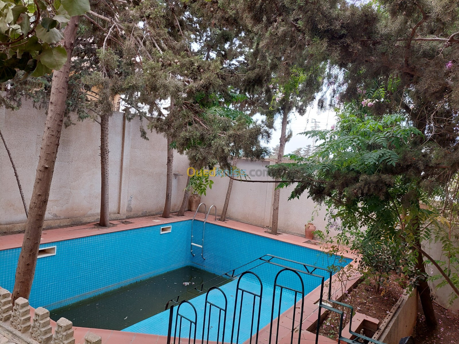 Vente Villa Alger Ouled fayet