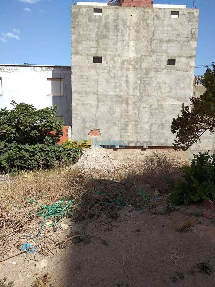 Vente Terrain Tlemcen Marsa ben mhidi